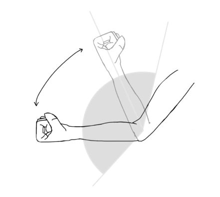 Forearm movement range