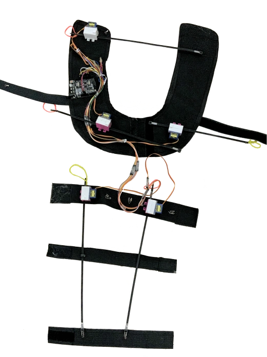 Full shoulder-to-wrist harness, unworn, laid flat