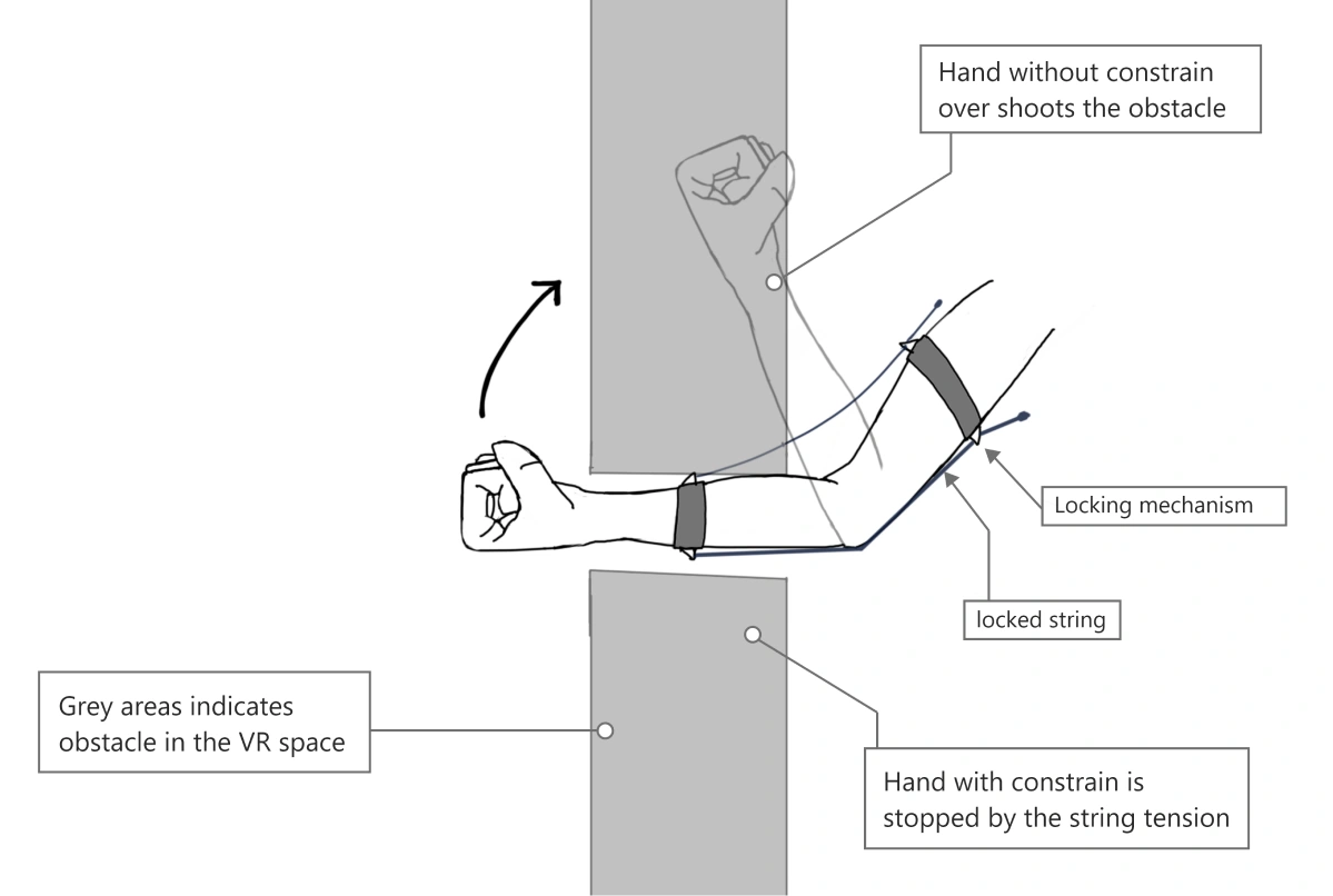 Forearm raised toward shoulder, stopped by string tension